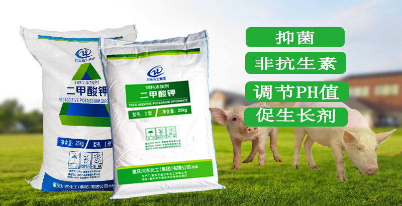 非抗生素飼料添加劑二甲酸鉀適合豬料無抗方案嗎？